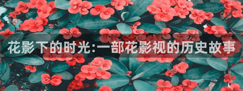 4480yy苍苍私人影院