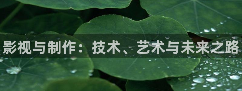 苍苍影院免费观看在线