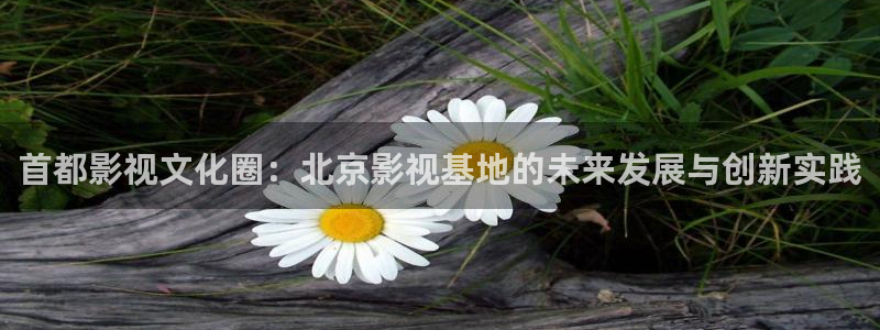 yy苍苍私人电影院：首都影视文化圈：北京影视基地的未来发展与创新实践